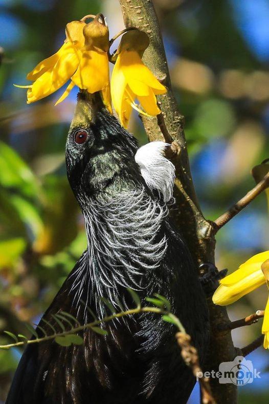 Mike&Jenny's Kaka Point Accommodation Bagian luar foto