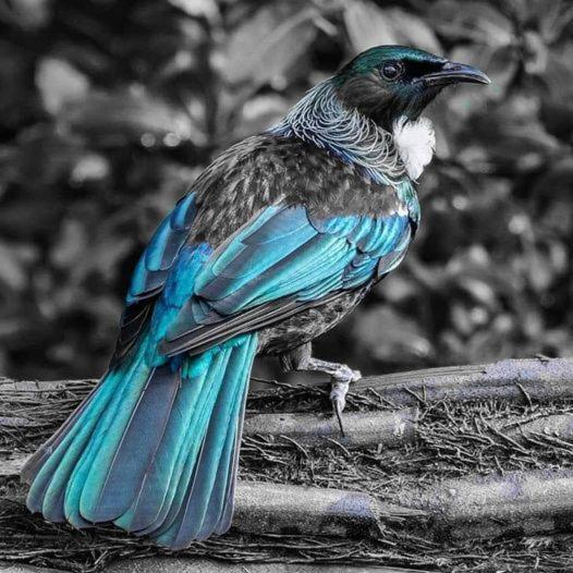 Mike&Jenny's Kaka Point Accommodation Bagian luar foto
