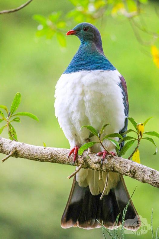 Mike&Jenny's Kaka Point Accommodation Bagian luar foto